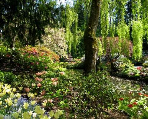 Butchart Gardens in Victoria set to transform for holidays