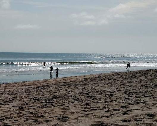 Playalinda Beach - Floridas Space Coast nude beach - GAY 